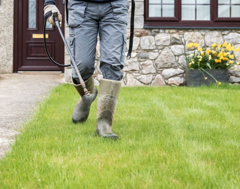 Finished Graded Yard